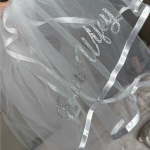 Bachelorette Set Future Wifey Veil and Booty Bow